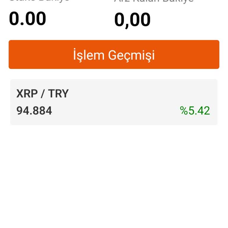 Bitci'de İşlem Sorunları Ve Destek Eksikliği