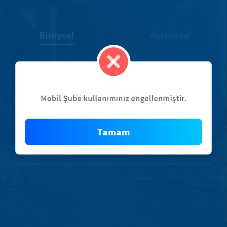 Halkbank Mobil Şube Erişim Sorunu Ve Müşteri Hizmetleri Engeli