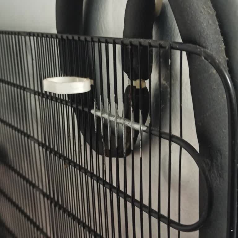 Beko Derin Dondurucu Kronik Arıza