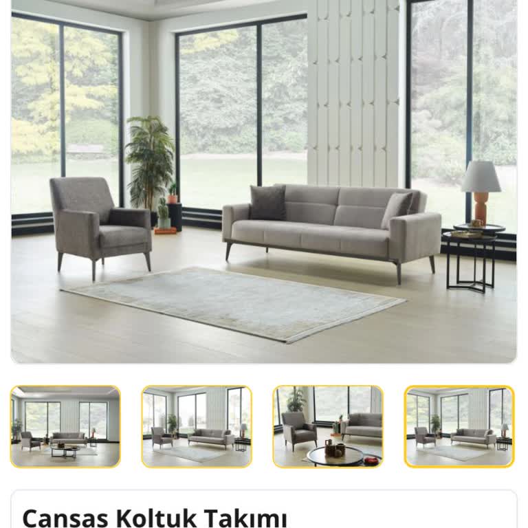 Gıcırdayan Koltuk Ve İlgisiz Teknik Servis