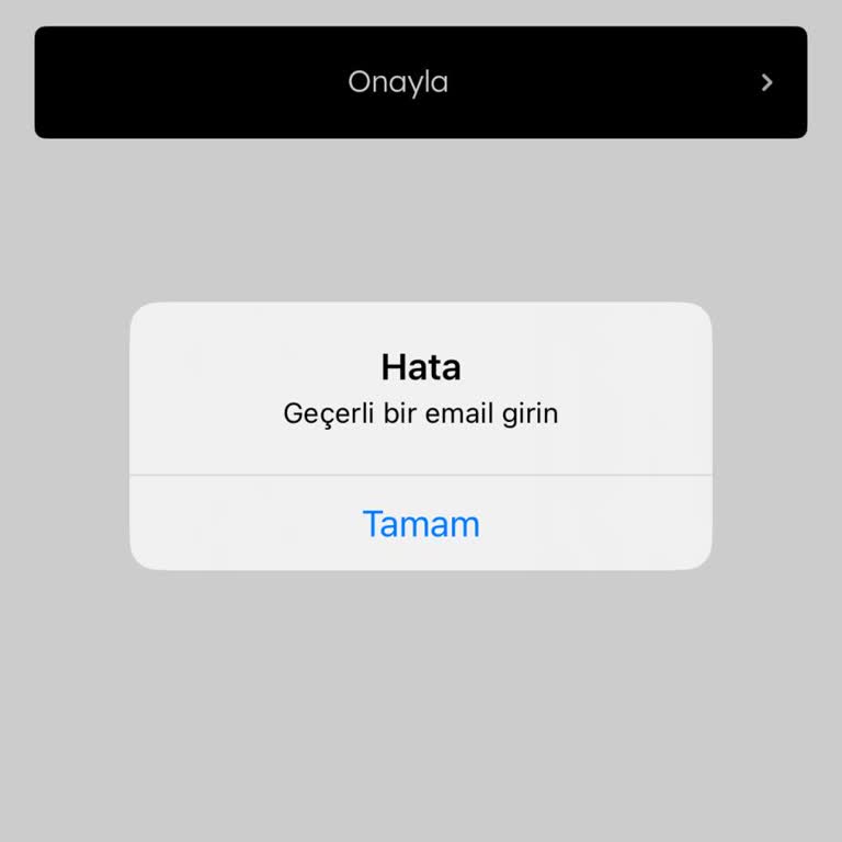 Mavi Uygulamasına Giriş Sorunu Ve Çözüm Beklentisi