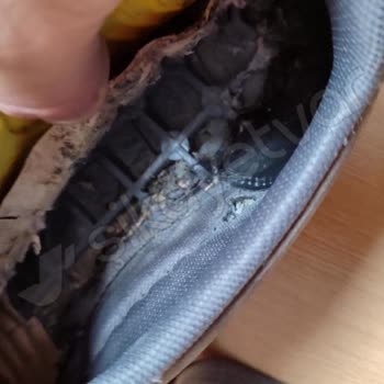 FLO Ve Lumberjack Ayakkabılarında Kalite Sorunu