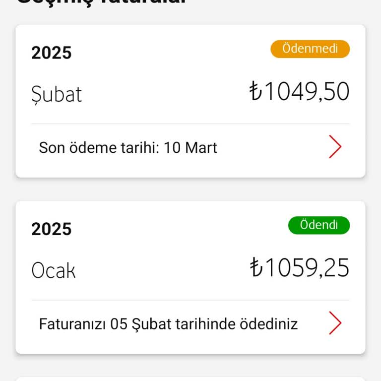 Yanlış Faturalandırma: Çift Fatura Sorunu