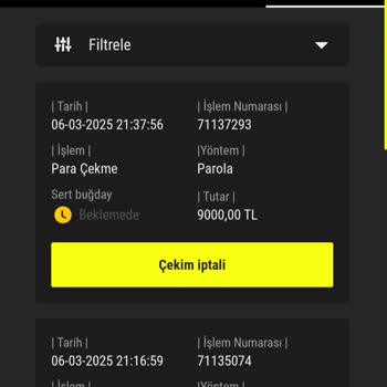 Para Çekme Talebinde Gecikme Ve Acil Çözüm Beklentisi