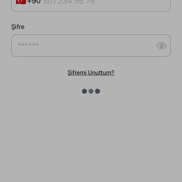Payco Hesabıma Giriş Yapamama Sorunu