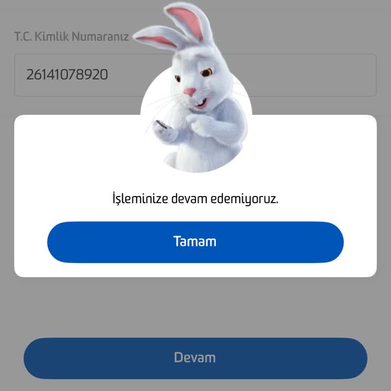 Mobil Şube Erişim Sorunları Ve Müşteri Hizmetlerine Ulaşamama