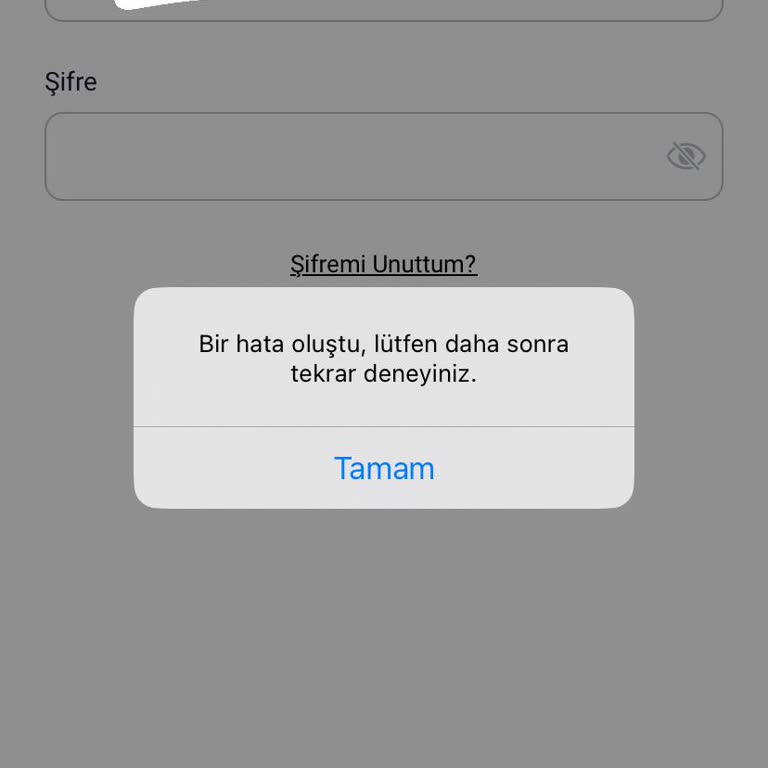 Para Transferi Ve Erişim Sorunu