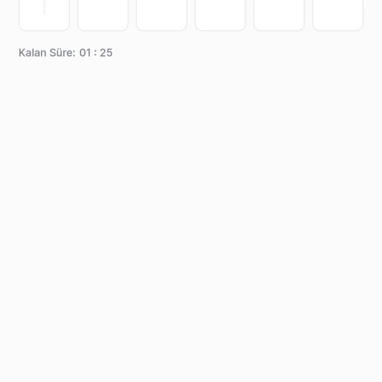 MoneyPay Cüzdanına Erişim Sorunu Ve Doğrulama Kodu Problemi