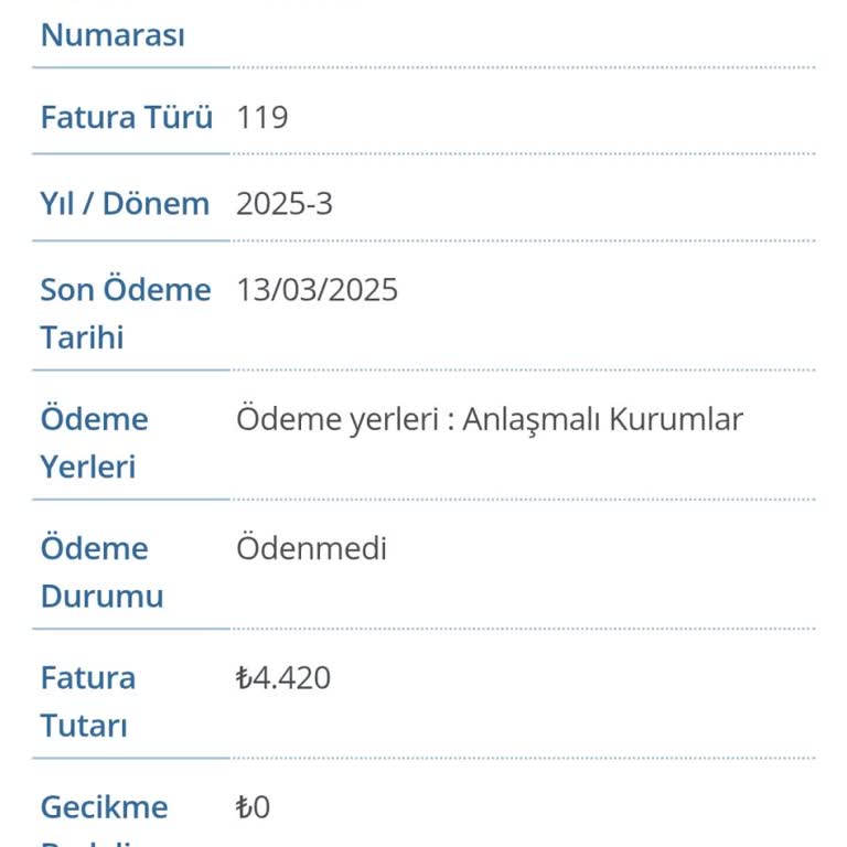 Şaşırtıcı Doğalgaz Faturası Şoku