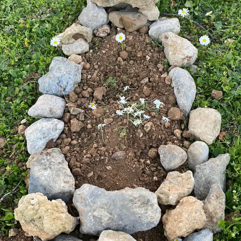 Veteriner Kliniğinde İhmaller Sonucu Kaybedilen Can