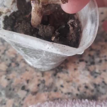 Yurtiçi Kargo İvedilikle Yaşattığı Mağduriyeti Gidermesini İstiyorum