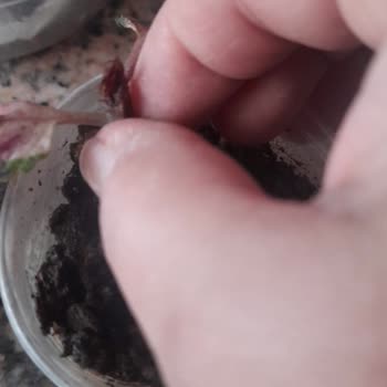 Yurtiçi Kargo İvedilikle Yaşattığı Mağduriyeti Gidermesini İstiyorum