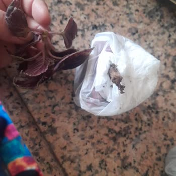 Yurtiçi Kargo İvedilikle Yaşattığı Mağduriyeti Gidermesini İstiyorum