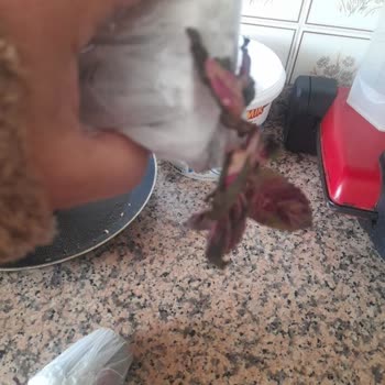 Yurtiçi Kargo İvedilikle Yaşattığı Mağduriyeti Gidermesini İstiyorum