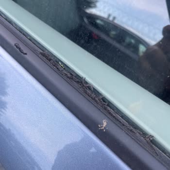 Toyota Corolla 2021: Kalitesiz Parçalar Ve Çözüm Üretemeyen Servis