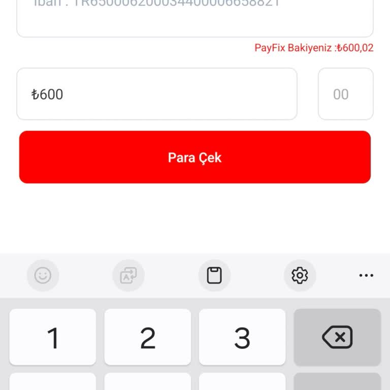 Payfix Hesabımda İşlem Yapamama Sorunu