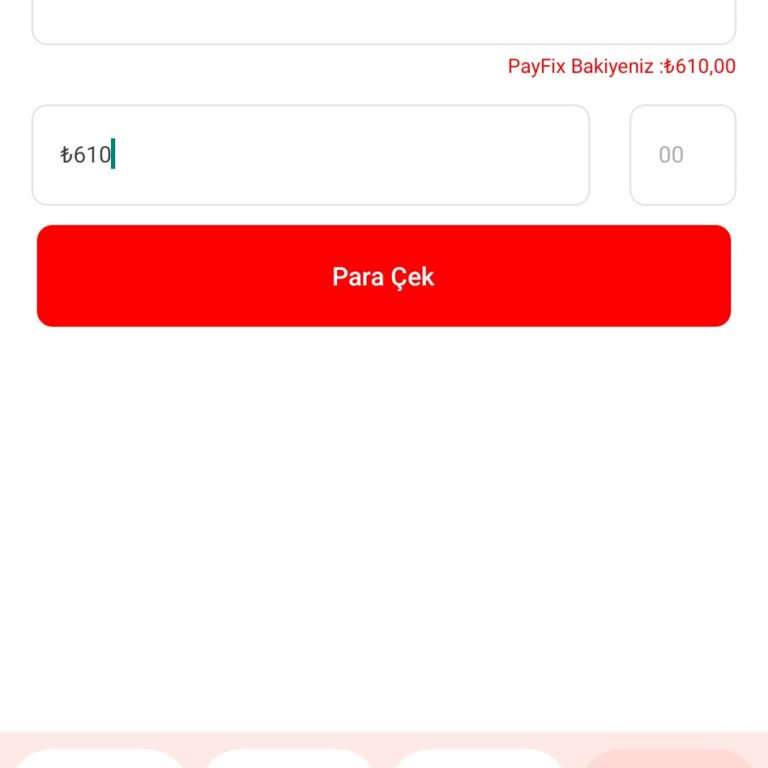Payfix Hesabında Para Kullanım Sorunu