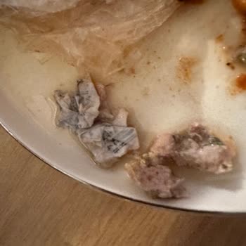 Yemekte Barkod Şoku: Tavuktan Çıkan Plastik!