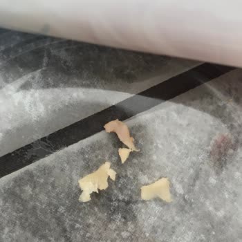 A101 Marketten Aldığım Polonez Füme Üründe Sağlığı Tehdit Eden Sert Madde