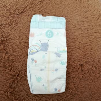 Prima Kulübü Ödül Bezi Hayal Kırıklığı