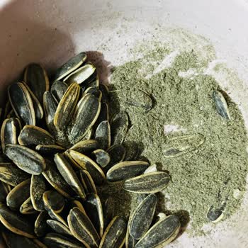 Tadım Gıda Çekirdeklerinde Hijyen Sorunu: Toz Ve Kirle Gelen Hayal Kırıklığı