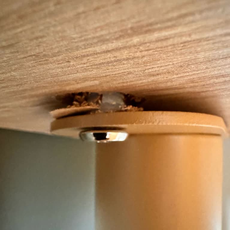 Çilek Odası: Satış Sonrası Hayal Kırıklığı