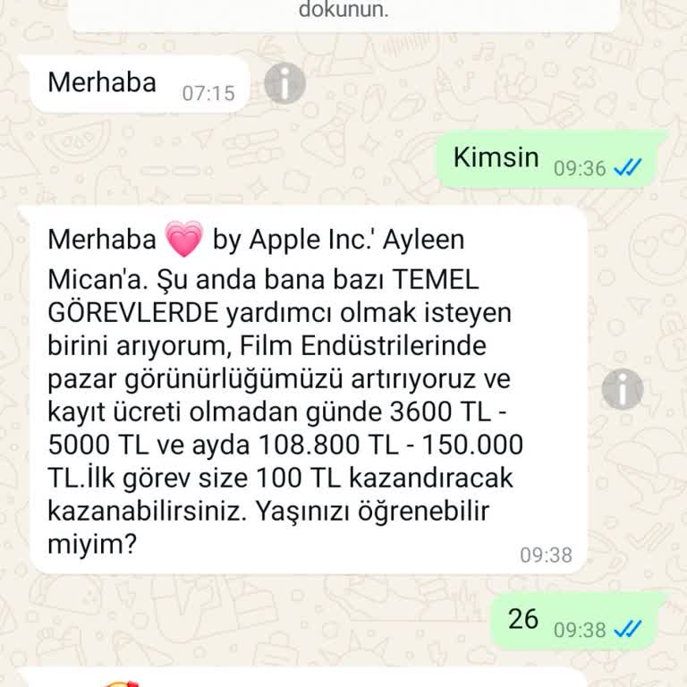 WhatsApp Üzerinden Görev Yap Kazan Deneyimi Ve Bilgi Güvenliği Endişesi