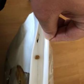 Açık Gelen Kedi Maması Ve Yetersiz Müşteri Hizmeti