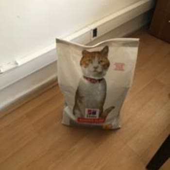 Açık Gelen Kedi Maması Ve Yetersiz Müşteri Hizmeti