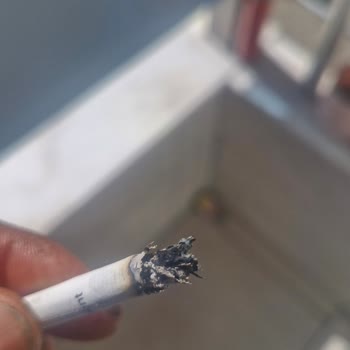 Parliament Midnight Blue: Kalite Sorunları Ve Hayal Kırıklığı