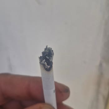 Parliament Midnight Blue: Kalite Sorunları Ve Hayal Kırıklığı