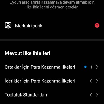 Instagram Haksız Markalı İçerik İhlali Nedeniyle Para Kazanamıyorum