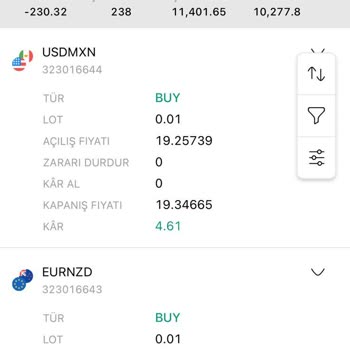 A Global Trade Yanıltıcı Yatırım Platformu Ve Kayıp Para
