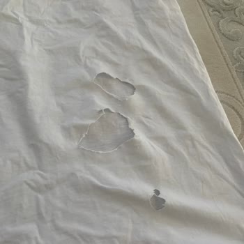 Bosch Washing Machine Tears Clothes – No Support Despite Warranty