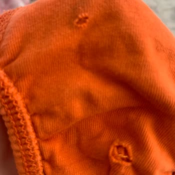 Bosch Washing Machine Tears Clothes – No Support Despite Warranty