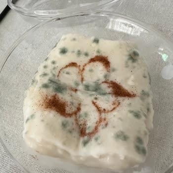 Küflü Tatlı Şoku: Sağlık Riski Ve Güven Kaybı