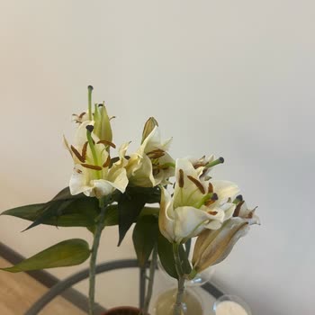 Yanlış Çiçek Gönderimi Ve Kalitesiz Ürün Deneyimi