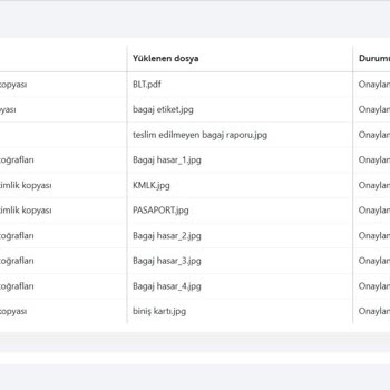 Valiz Kaybı Ve Hasarı İle İlgili THY Mağduriyeti
