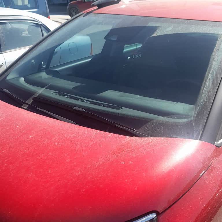 C3 Aircross Cam Sileceği Sorunu