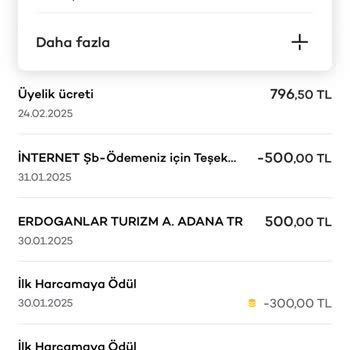 Kredi Kartı Ücreti Ve Güvenlik Sorunları