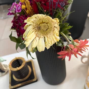 Doğum Günü Sürprizinde Hayal Kırıklığı: Çiçek Ve Çikolata Sorunu