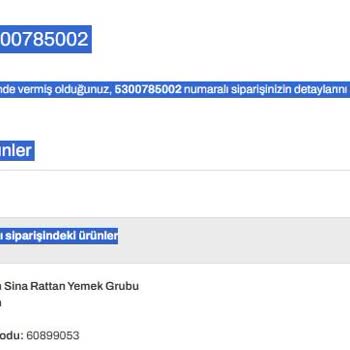 Garanti Kapsamında Olmasına Rağmen İlgisiz Hizmet