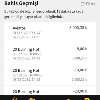 Hesap Güvenliği Sorunu Ve Beklenmedik Bakiye Sıfırlanması