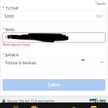 Hesap Güvenliği Sorunu Ve Beklenmedik Bakiye Sıfırlanması