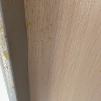 Antalya'da Beklentileri Karşılamayan Temizlik Hizmeti