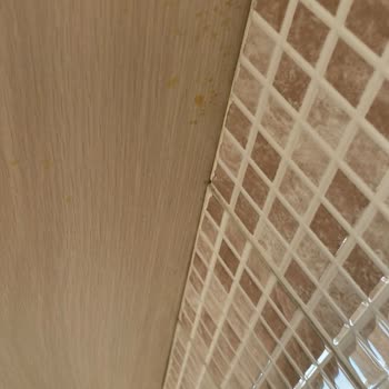 Antalya'da Beklentileri Karşılamayan Temizlik Hizmeti