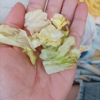 Burger King'de Bayat Ürün Ve Kötü Hizmet Deneyimi