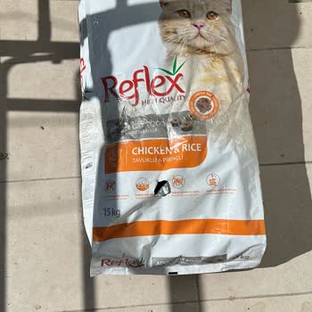 Kolay Gelsin Hasarlı Ürün Teslimatı Ve Yetersiz Müşteri Hizmeti