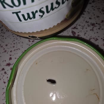 Kornişon Turşusunda Beklenmedik Sürpriz