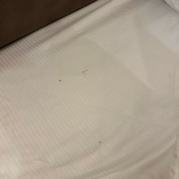 Konaklama Süresince Temizlik Sorunları Ve Hijyen Eksikliği